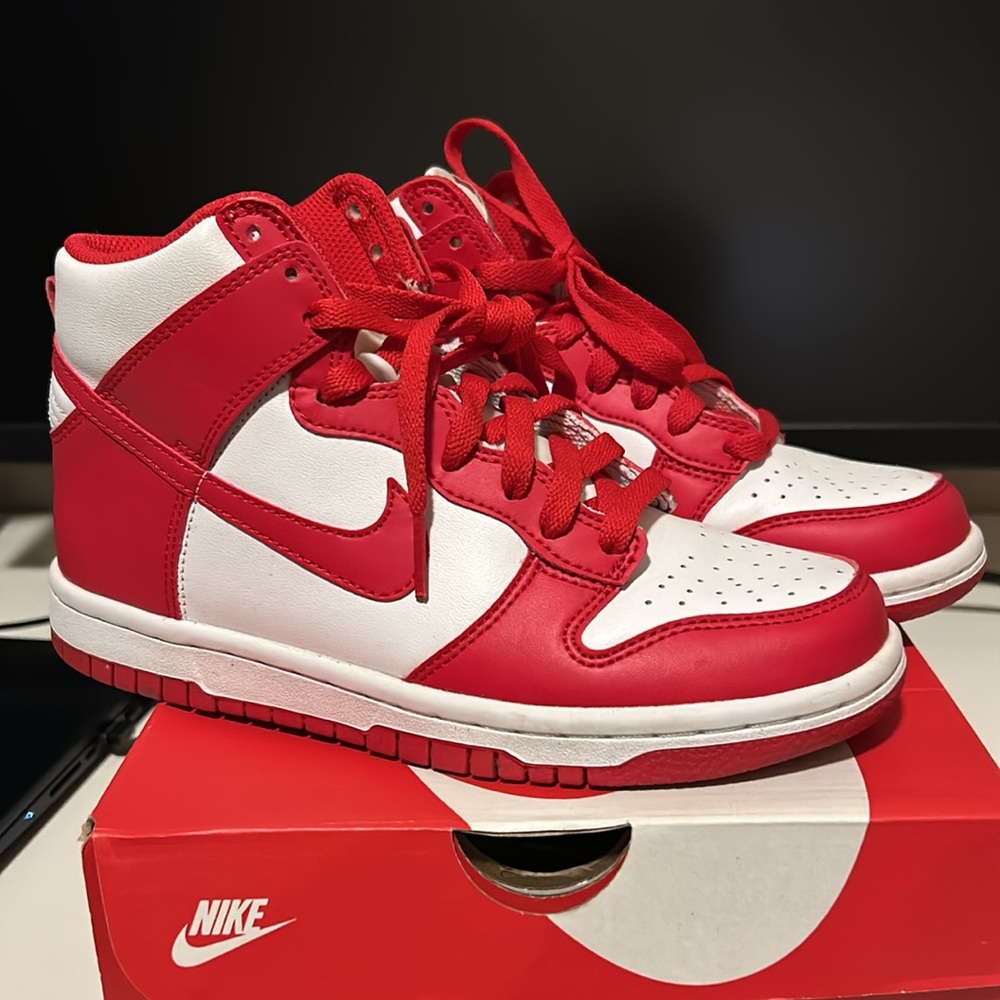 Nike Dunk High
